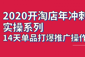 2020淘宝冲刺实操系列，14天单品打爆推广操作，抖音拉爆销量核心技巧