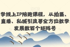 国学玄学线上IP陪跑课程，从拍摄、剪辑、运营、直播、私域引流等全方位教学，快速发展数百个矩阵号