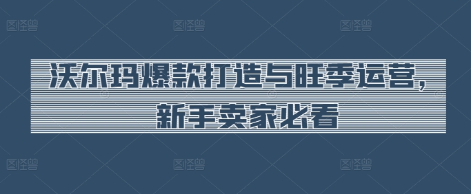 沃尔玛爆款打造与旺季运营，新手卖家必看