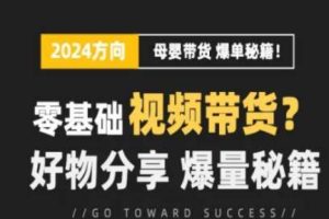 短视频母婴赛道实操流量训练营，零基础视频带货，好物分享，爆量秘籍